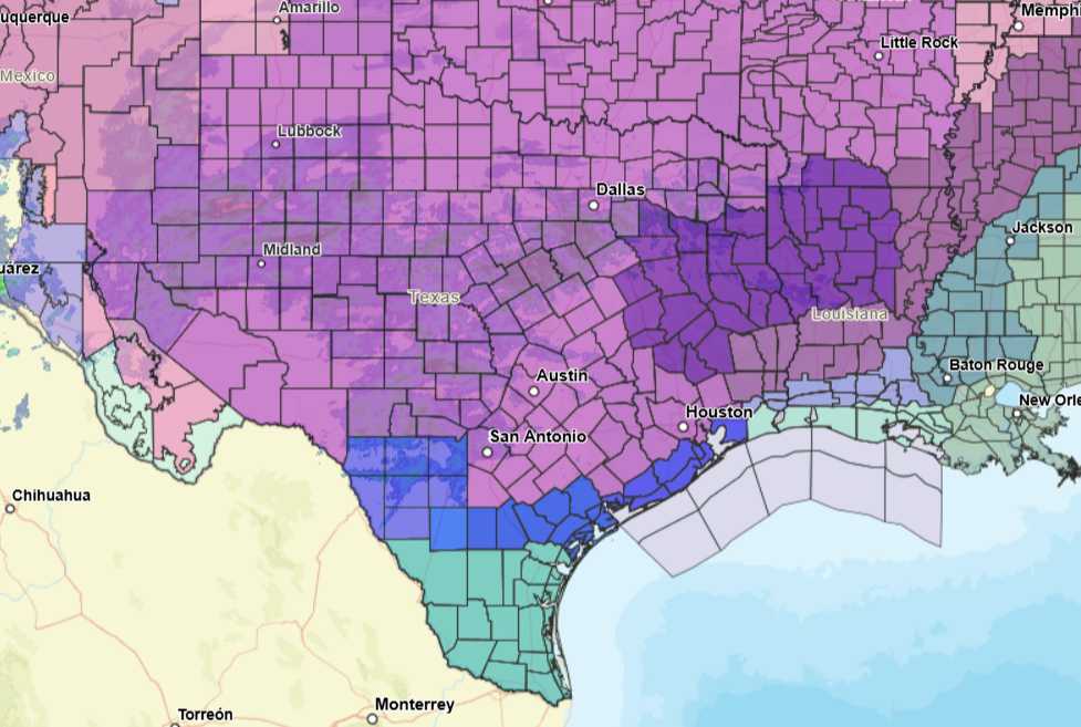 Prepare for the Texas Winter Storm